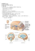 아동간호학 - 뇌수막염(Meningitis) 병태생리