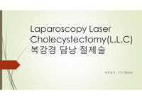 복강경 담낭 절제술,L.L.C 케이스, 레포트, PPT자료