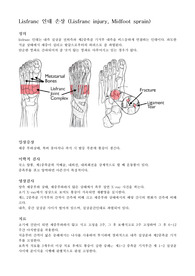 정형외과 Lisfranc 인대 손상환자에 관한 요약,정리
