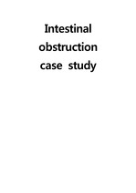 Intestinal obstruction 장폐색 case, A+ 받은 case, 진단12개, 간호과정2개