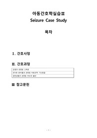 아동간호실습 Seizure환아간호 간호과정3 / 간호진단3
