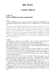 성인간호학 실습 MICU(내과계중환자실)-간호과정 사례보고서-현미경적 다발혈관염, Microscopic polyangiitis(MPA) 간호과정 사례보고서 Case study(케이스스터디)