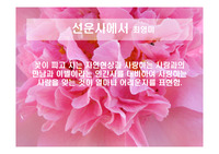 &#039;선운사에서&#039; 문학작품 발표ppt
