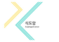 병리학 식도암 PPT과제 [A맞은 과제!]