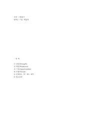 테슬라 스왓분석