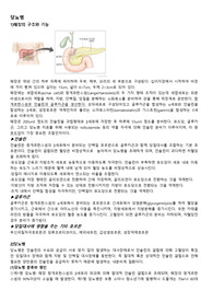 당뇨병
