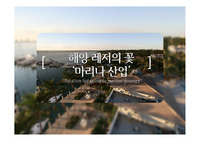마리나 산업의 국내&amp;국외 사례분석 조사 - 해양관광론