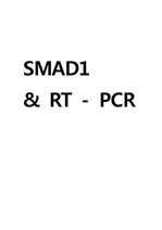 Smad1 RT PCR