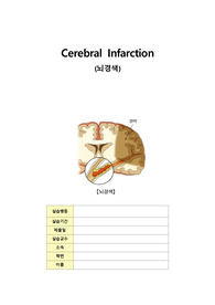 성인간호학 신경외과 실습 뇌경색 케이스스터디 문헌고찰 (Cerebral Infarction CASE 문헌고찰)