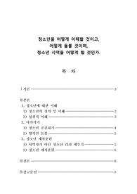 청소년 사역을 어떻게 할 것인가? (기독교청소년)
