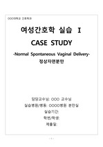 Case Study 여성간호학 NSVD 정산자연분만, 쌍각자궁, 간호진단 3개, 문헌고찰 포함