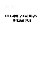 [경영조직론] CJ조직구조분석 보고서