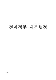 전자정부재무행정