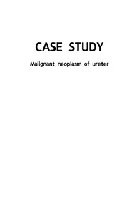 노인실습 호스피스병동 말기 요관암(ureter cancer) CASE STUDY (간호진단 4개) (간호과정 2개)