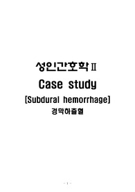 신경외과 NS SDH,경막하출혈 CASE STUDY 간호진단5개, 간호과정 3개