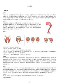 여성건강간호학 자궁내막암 A+ 케이스 만점받음
