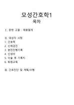 모성 제왕절개 케이스 간호진단 5개 간호과정 2개 완벽 A+