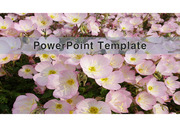 PowerPoint Template (꽃) v9