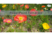 PowerPoint Template (꽃) v14