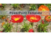 PowerPoint Template (꽃) v15