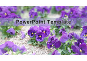 PowerPoint Template (꽃) v11