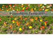 PowerPoint Template (꽃) v16