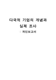 다국적기업에 대한 사례