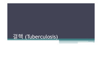 결핵 발표자료 PPT, 임상증상, 병인,역학,약물치료