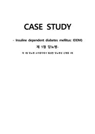 아동제1형당뇨 IDDM 간호과정 (간호진단 -부적절한 섭취와 관련된 영양부족)