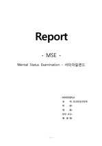 정신간호학/MSE 정신상태사정/셔터아일랜드/영화사례분석