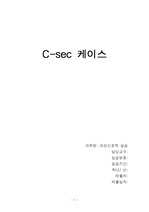 C-sec 케이스(간호진단3개, 간호과정 3개)