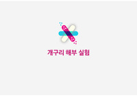 개구리 해부 발표 PPT