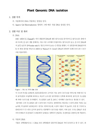 [유전공학실험]Plant Genomic DNA isolation