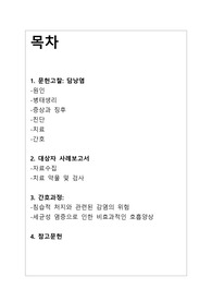 성인간호학실습/케이스/간호과정/성인실습 담낭염 케이스