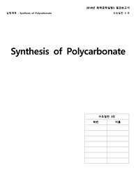 [화학공학실험 A+ 보고서]_결과보고서_PC합성