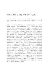 [2019 A+]영화로배우는자연재해 2차 레포트