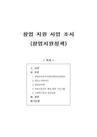 [보고서] 창업지원사업, 창업지원정책 조사(창업성공패키지, 창업도약패키지, 창업인턴제, 상생서포터즈, 사회적기업가 육성사업)