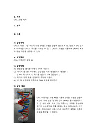 DNA 모형 만들기 레포트 A+레포트