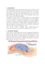 [여성간호학] 융모양막염 해부생리,간호적용,치료법,원인 레포트 (참고문헌 있음)