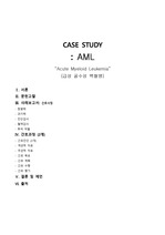 성인간호학 CASE- 급성골수성 백혈병 AML