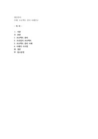 프로젝트 관리 사례연구(조선업의 프로젝트)