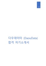 DaouData (다우데이타) 온라인 개발 직무 최종 합격 자기소개서