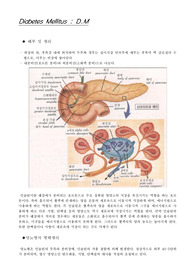 [간호학, 성인간호] 당뇨 문헌고찰CASE (A+)
