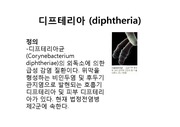 디프테리아 (diphtheria)
