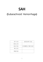 SAH 케이스(간호진단,간호과정4개)