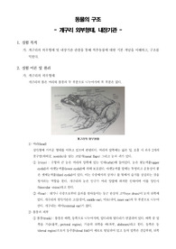 [일반생물학실험]동물의 구조 - 개구리 외부형태, 내장기관 관찰
