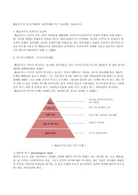 [인간행동과사회환경] 메슬로우의 욕구단계설이 사회복지에 주는 시사점 레포트