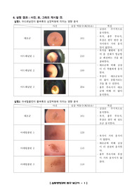 물벼룩 심장박동