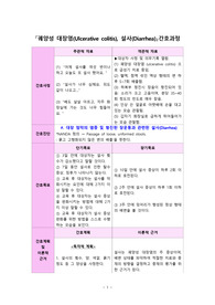 궤양성대장염 간호진단 설사 간호과정