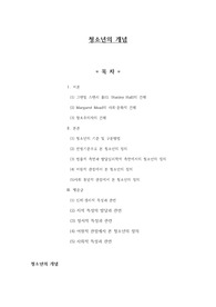 청소년의 개념